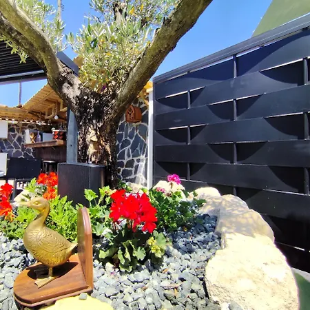Willa Mediterranean Moon House *